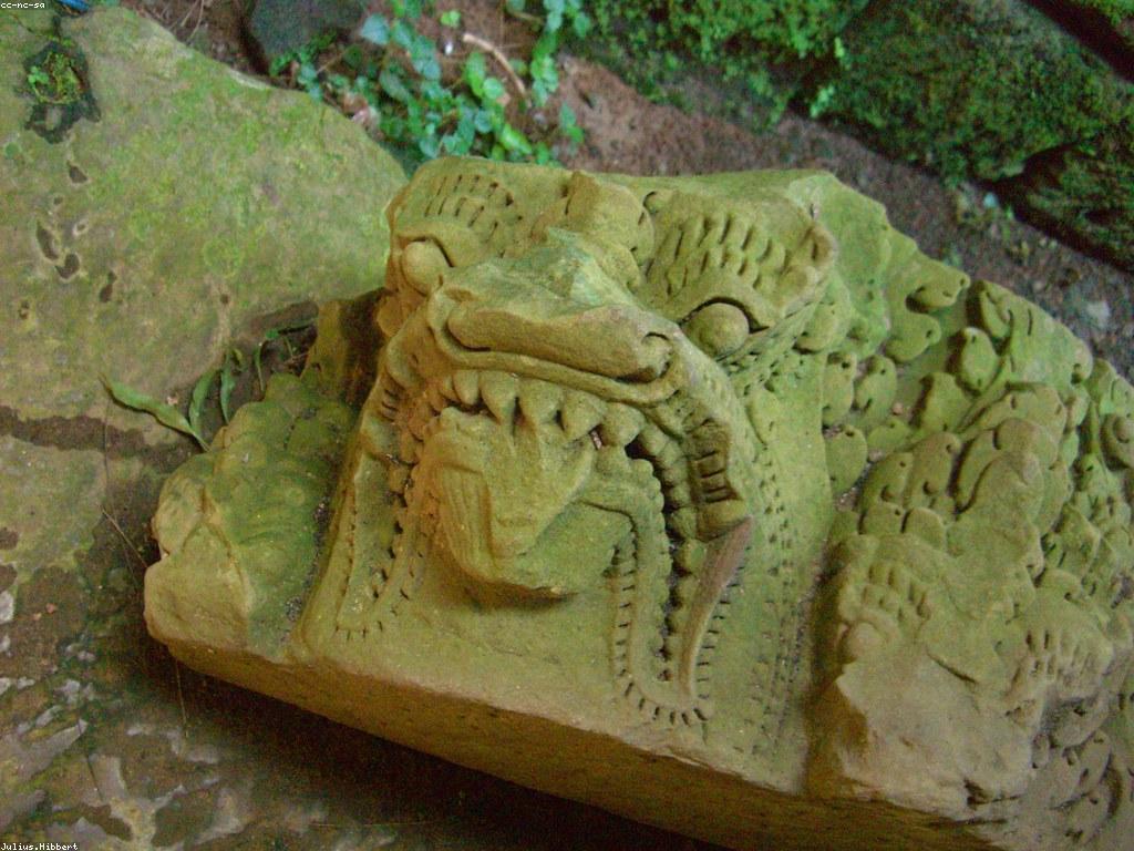 ការណែនាំអំពីនាគ