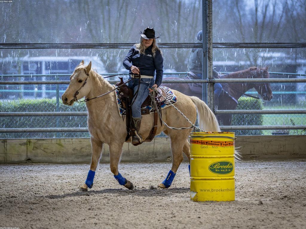 វិធីសាស្ត្រលេង: ការលេងឬការលេងប្រកួត