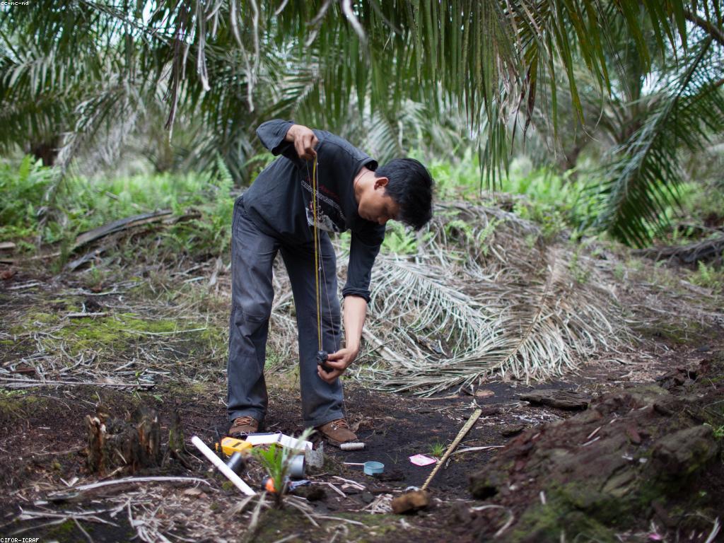 ចំណេះដឹងល្អ៖ ការបង្កើនចំណេះដឹងសម្រាប់ជីវិតល្អប្រសើរ